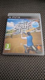 Move Street Cricket