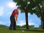 Tiger Woods PGA Tour 2003 [EA Sports Classics]