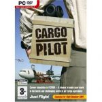 Cargo Pilot (MS Flight Sim Add On)