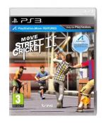 Move Street Cricket 2