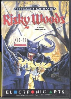 Risky Woods for Mega Drive