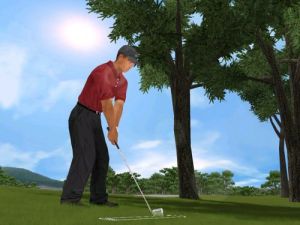 Tiger Woods PGA Tour 2003 [EA Sports Classics] for Windows PC